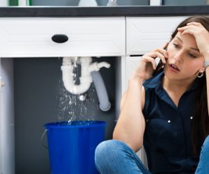 About Plumbers Pros Bedias, TX